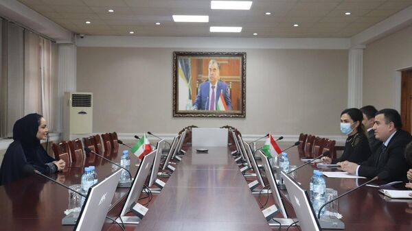 Встреча главы Центра торговли Ирана с заместителем министра экономики и торговли РТ - Sputnik Тоҷикистон