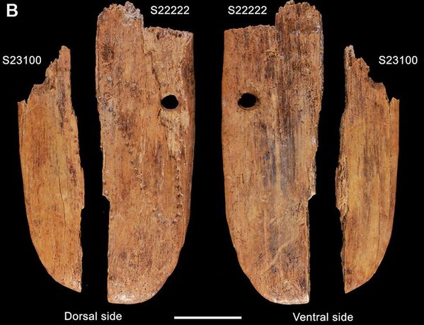 Кулон из слоновой кости возрастом 41 500 лет из пещеры Стайня (Польша). - Sputnik Таджикистан
