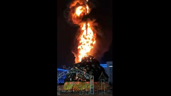 В Казахстане в ночь на 1 января сгорела новогодняя елка - Sputnik Таджикистан
