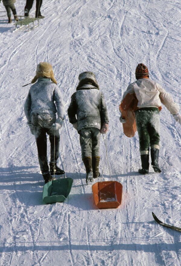 Таллин, 1983 год. Дети катаются на санках. - Sputnik Таджикистан