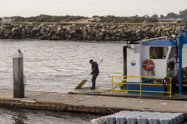 Сотрудник гавани Санта-Крус вытаскивает из воды обломки уничтоженных стихией кораблей. - Sputnik Таджикистан