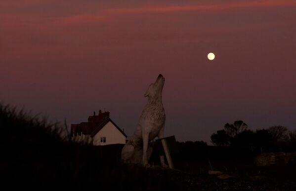 Полная луна поднимается над статуей волка в Ханстентоне (Великобритания). - Sputnik Таджикистан