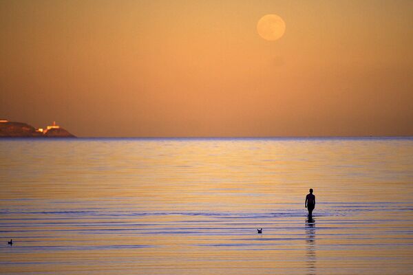 Мужчина смотрит на полную луну, известную также как Волчья луна, во время прогулки по пляжу Сипойнт в Дублине. - Sputnik Таджикистан