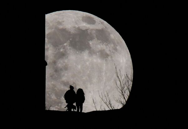 Люди гуляют с собакой на вершине Гластонбери-Тор (Великобритания) и любуются на восход Волчьей луны. - Sputnik Таджикистан