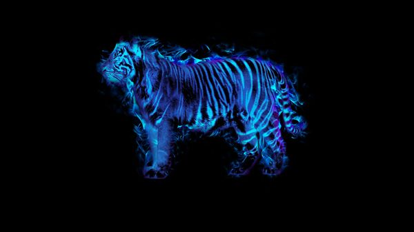 Голубой тигр, иллюстрация - Sputnik Таджикистан
