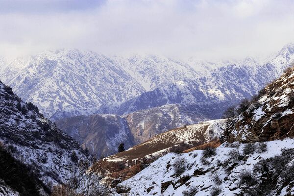 Ущелье Аджук прекрасно в любое время года, но эпичнее всего выглядят горные вершины под снежным покровом. - Sputnik Таджикистан