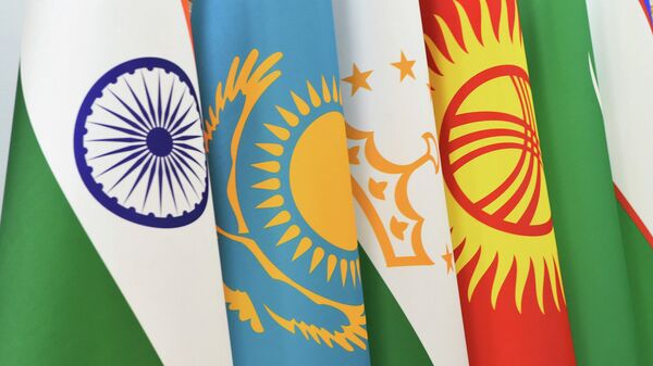 Участие и выступление на Первом Саммите Центральная Азия-Индия - Sputnik Таджикистан