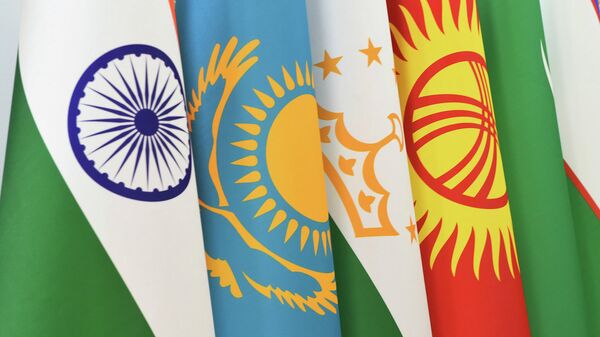 Участие и выступление на Первом Саммите Центральная Азия-Индия - Sputnik Тоҷикистон