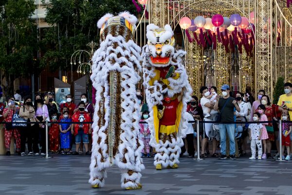 Неотъемлемая часть китайского Нового года - танцы драконов и других животных, присутствующих в гороскопе. Их исполняют переодетые в костюмы профессиональные артисты. - Sputnik Таджикистан