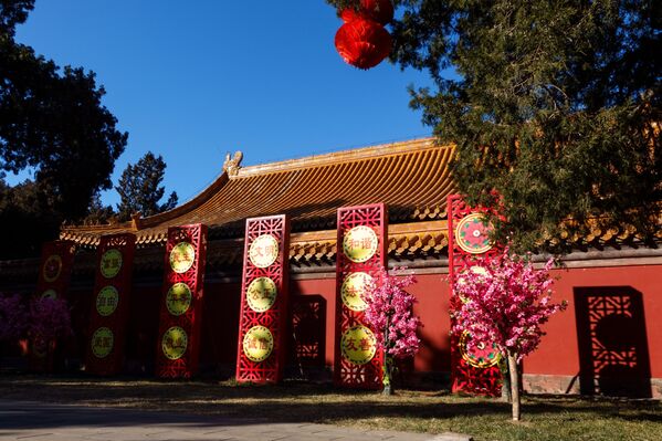 Парк Храма Земли в Пекине красиво украсили к китайскому Новому году. - Sputnik Таджикистан