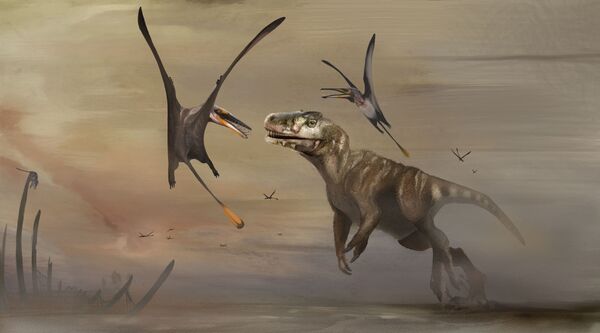 Птерозавры жили в одно время со знаменитыми тираннозаврами. - Sputnik Таджикистан
