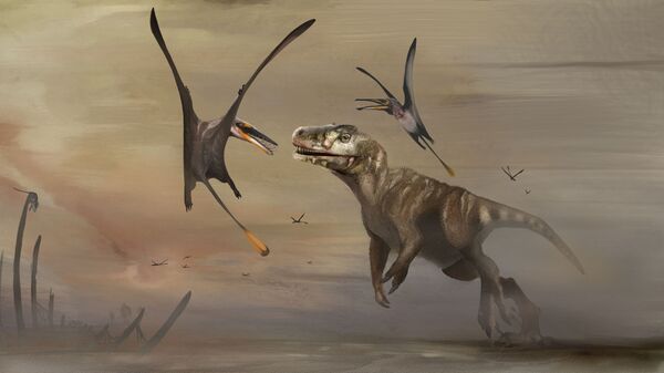 Птерозавр «Дирк сгиатанах», чья окаменелость возрастом примерно 170 миллионов лет была найдена на шотландском острове Скай - Sputnik Таджикистан