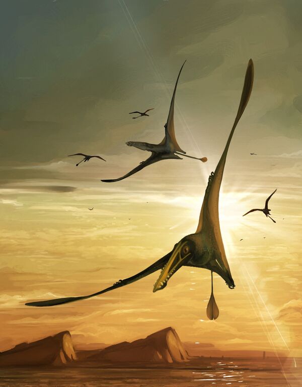 В юрский период этот птерозавр летал над древними водами Шотландии, питаясь рыбой. - Sputnik Таджикистан