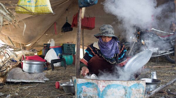 Женщина-бедуинка готовит еду в своей палатке у шоссе, ведущего в Каир в египетской провинции Кафр-Эль-Шейх в дельте Нила, Египет - Sputnik Таджикистан