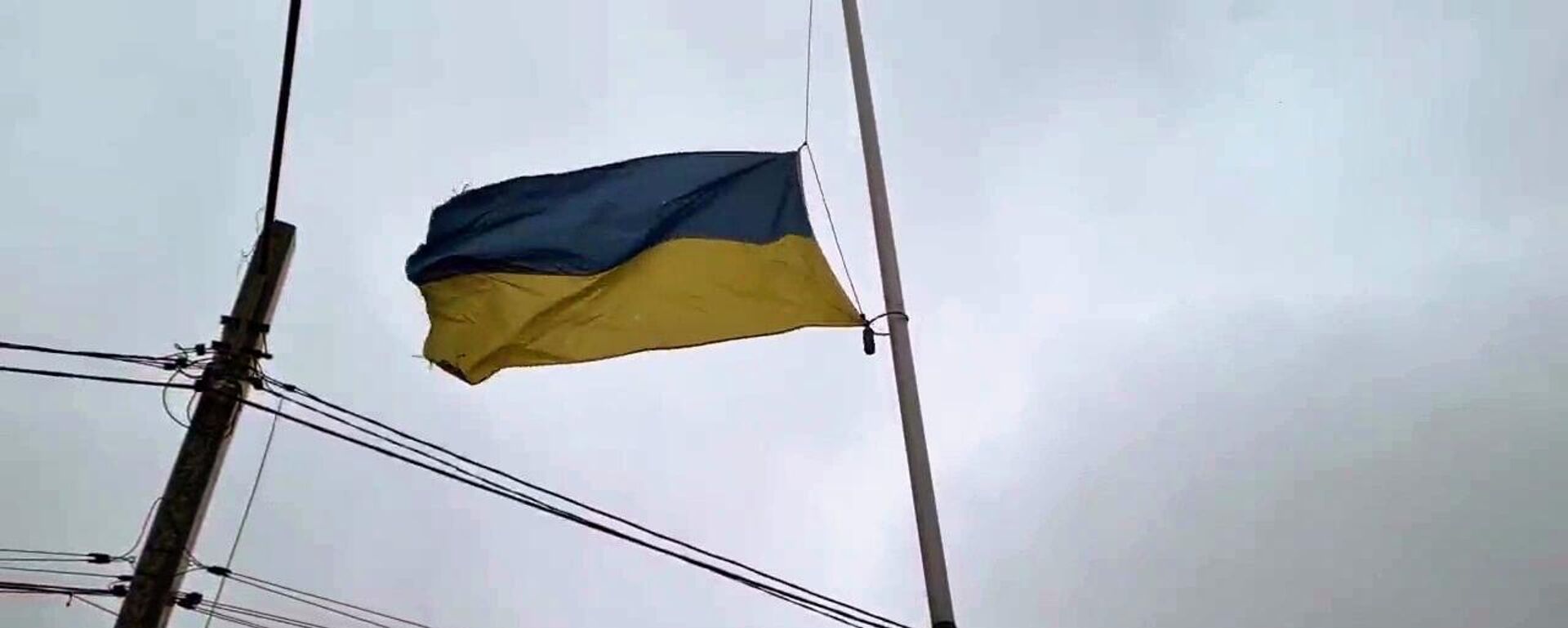 Флаг Украины - Sputnik Тоҷикистон, 1920, 12.03.2022