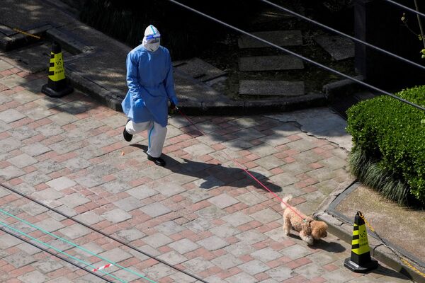 Житель Шанхая, одетый в средства индивидуальной защиты, выгуливает собаку. - Sputnik Таджикистан