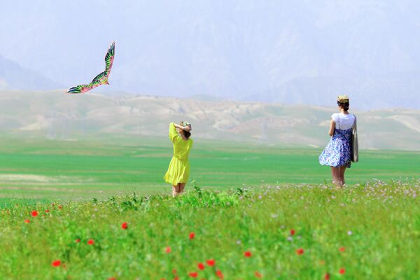 В апреле в Таджикистане начинается сезон дождей и пора цветения маков. - Sputnik Таджикистан