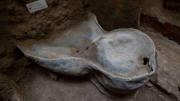 Свинцовый саркофаг найденный в гробнице при раскопках в подвалах собора Парижской Богоматери в Париже - Sputnik Таджикистан