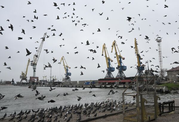 Портовые краны в морском торговом порту Мариуполя - Sputnik Таджикистан