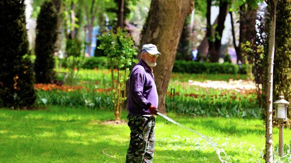 Мужчина поливает в парке дерево - Sputnik Таджикистан