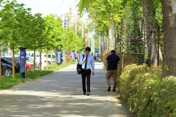 Молодой человек идет в тени деревьев вдоль столичного парка. - Sputnik Таджикистан