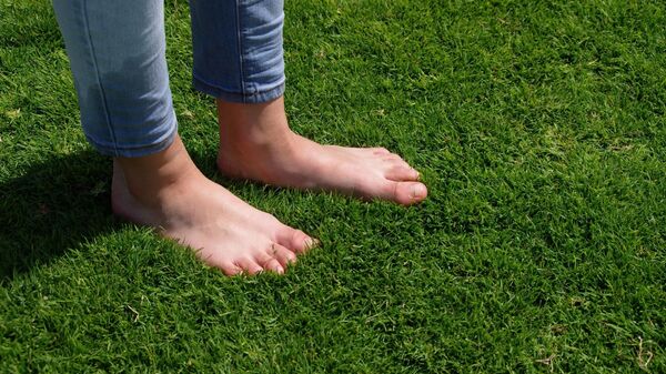 Босые ноги на газоне. Архивное фото - Sputnik Таджикистан