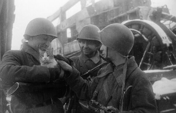 Снимок Мирные воспоминания. Сталинград, 1943 год - Sputnik Таджикистан