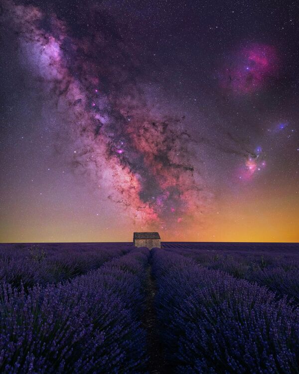 House of Lavender - потрясающая работа французского фотографа Benjamin Barakat, запечатлевшего мистику лавандовых полей и Млечного пути. - Sputnik Таджикистан