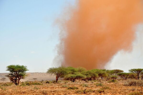 Песчаная буря в Сомалиленде. - Sputnik Таджикистан