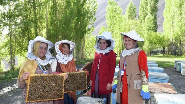 Работницы пасеки в Мадрушкате достают медовые соты - Sputnik Таджикистан