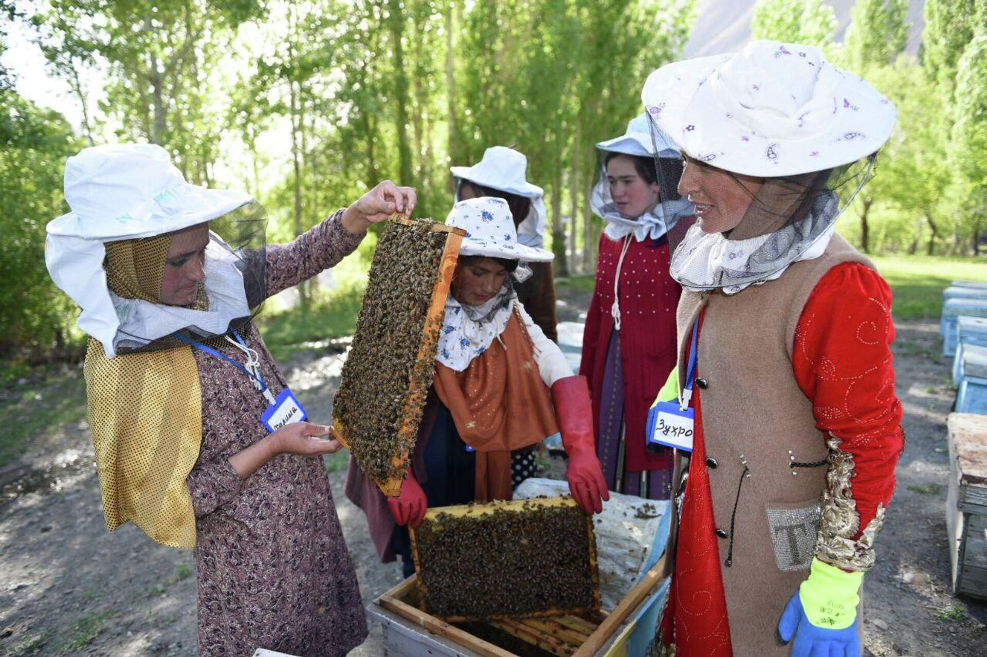 Работницы пасеки в Мадрушкате достают медовые соты - Sputnik Таджикистан, 1920, 03.06.2022