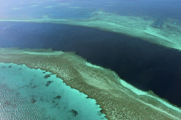 Крупнейший в мире коралловый риф, который находится в Тихом океане. Гряда насчитывает более 2,9 тыс. отдельных рифов и 900 островов в Коралловом море вдоль северо-восточного побережья Австралии. - Sputnik Таджикистан