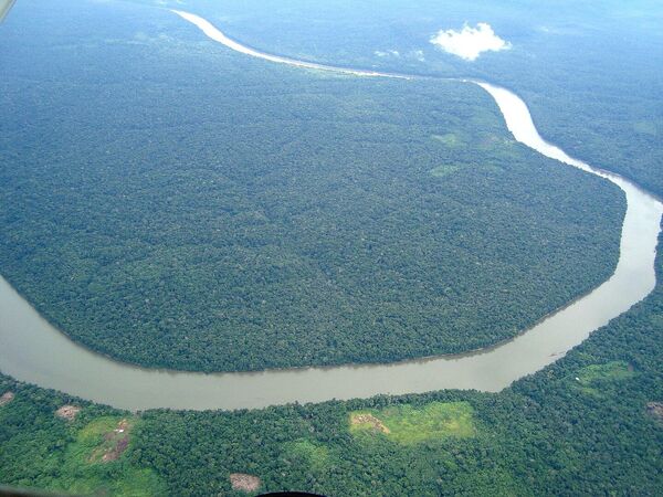 Тропические леса Амазонии - обширный регион влажнотропических вечнозеленых широколиственных лесов и  самый крупный в мире тропический лес. - Sputnik Таджикистан