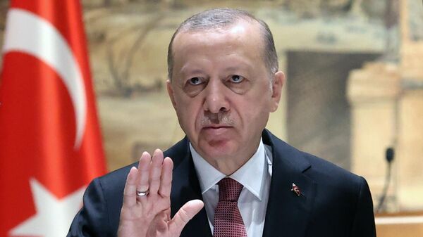 Президент Турции Реджеп Тайип Эрдоган  - Sputnik Таджикистан