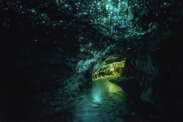 К удивительным и восхищающим взор пейзажам можно отнести пещеры светлячков Вайтомо на Северном острове Новой Зеландии. - Sputnik Таджикистан