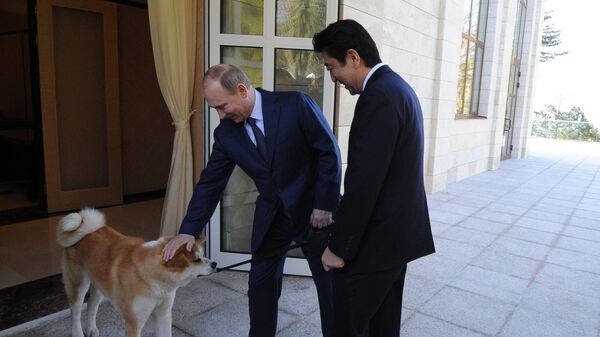 Президент России Владимир Путин и премьер-министр Японии Синдзо Абэ  - Sputnik Таджикистан