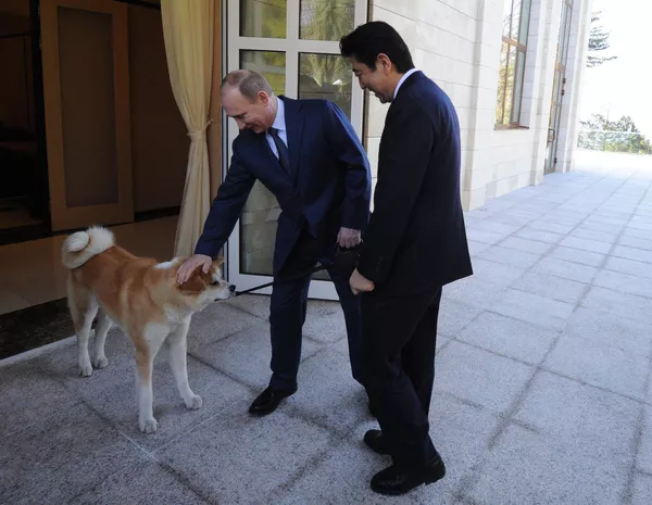 8 феврали соли 2014. Президенти Русия Владимир Путин ва сарвазири Ҷопон Шинзо Абэ зимни мулоқот дар қароргоҳи Бочаров Ручей. 8 феврали соли 2014. Президенти Русия Владимир Путин ва сарвазири Ҷопон Шинзо Абэ зимни мулоқот дар қароргоҳи Бочаров Ручей. - Sputnik Тоҷикистон