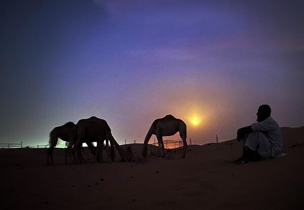 Пакистанский смотритель верблюдов Асдолла сидит на песке под полной луной в пустыне Аль-Мармум примерно в 40 км к юго-востоку от Дубая, Объединенные Арабские Эмираты, 13 июля 2022 года. - Sputnik Таджикистан