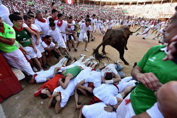 Знаменитый экстремальный фестиваль быков Сан-Фермин в испанской Памплоне. - Sputnik Таджикистан