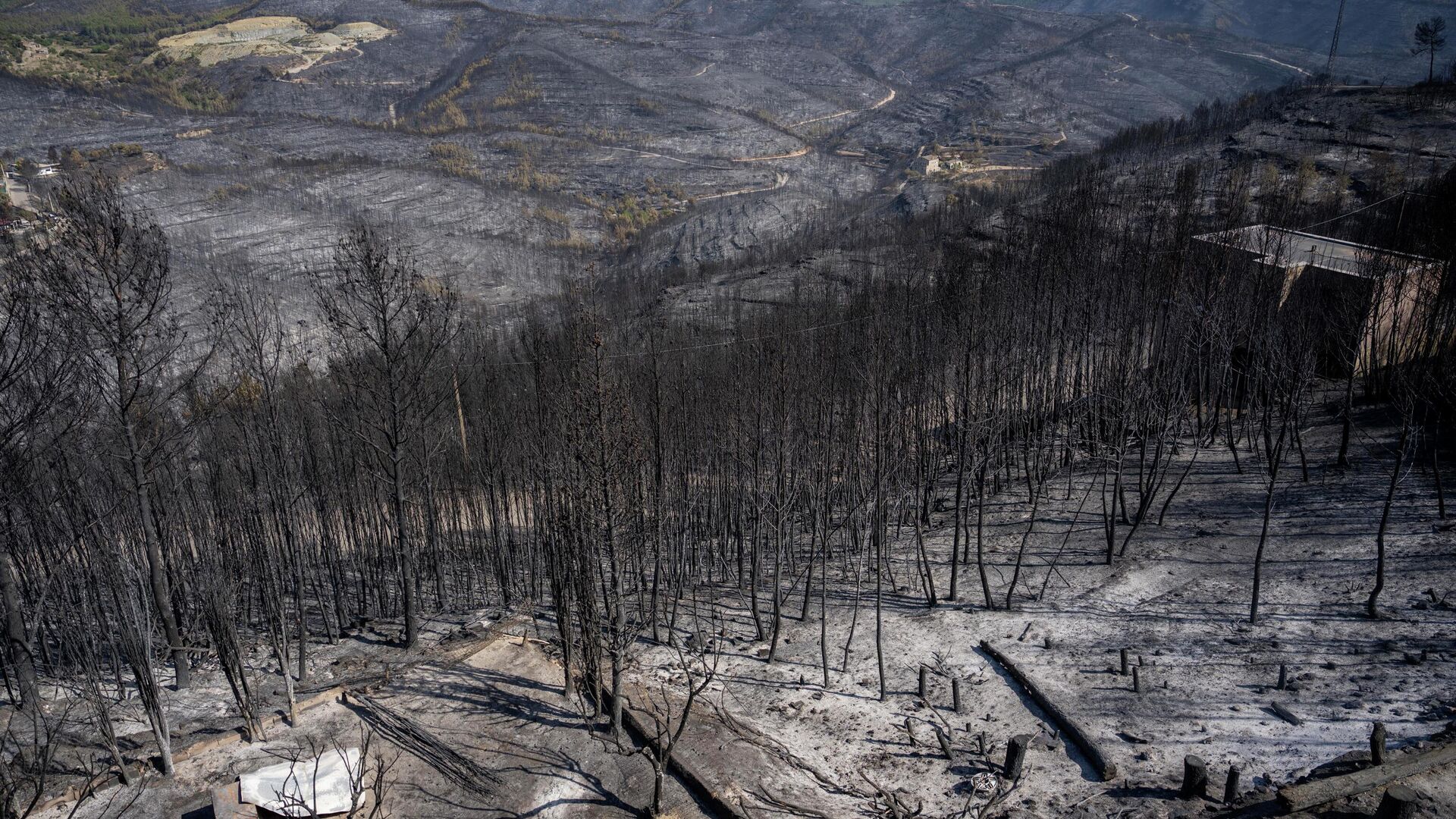 Лесные пожары в Испании - Sputnik Таджикистан, 1920, 23.07.2022