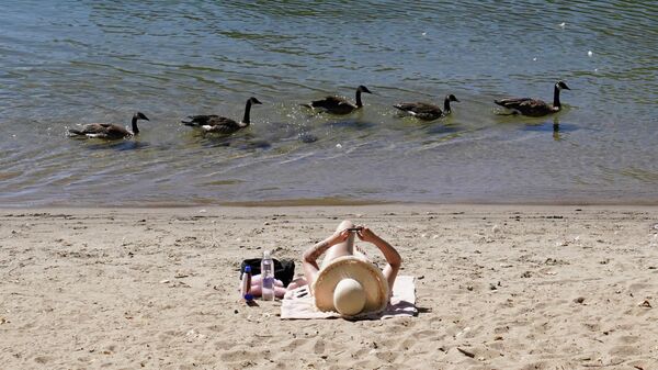 Утки проплывают мимо отдыхающего на пляже в Сакраменто, США - Sputnik Таджикистан