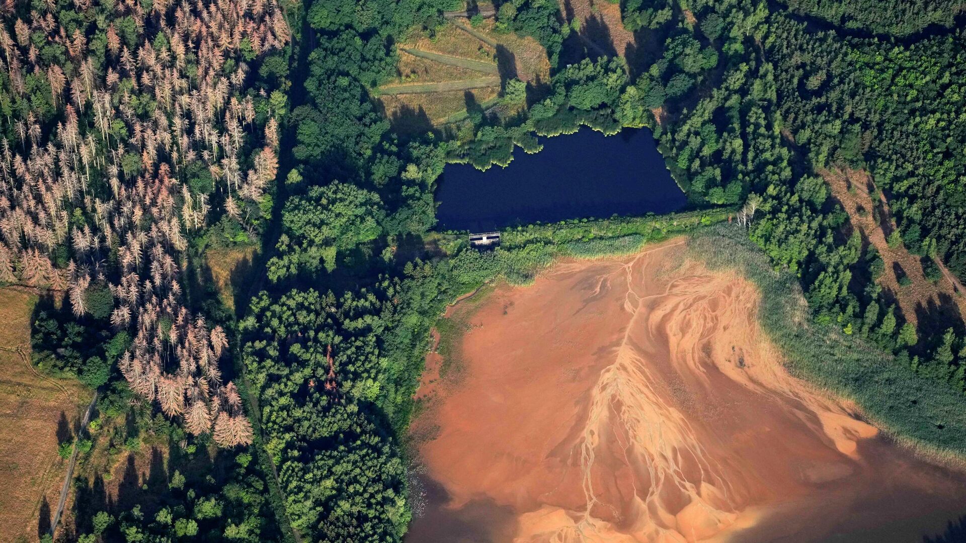 Голые деревья вокруг озера Больрих в разрушенном лесу Гарц недалеко от Гослара, Германия - Sputnik Таджикистан, 1920, 14.09.2023