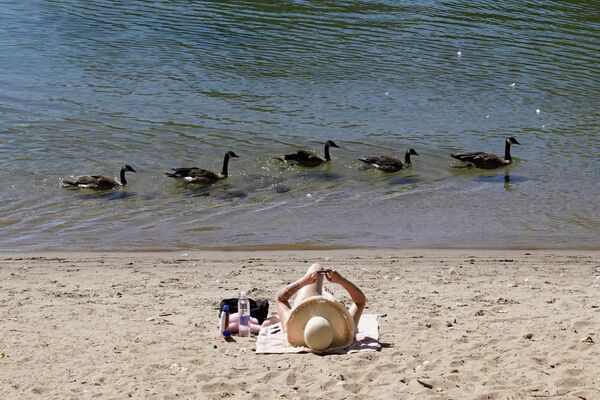 Утки проходят мимо отдыхающего на пляже в парке Дискавери в Калифорнии. - Sputnik Таджикистан