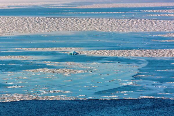 Многолетние наблюдения показывают, что толщина и площадь льда стремительно сокращаются. - Sputnik Таджикистан