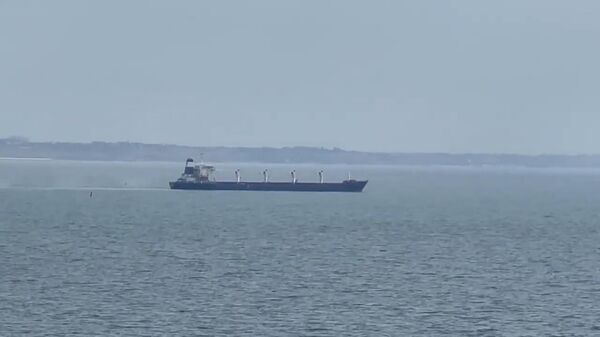 Первое судно с зерном направляется из порта Одессы в Стамбул - Sputnik Таджикистан