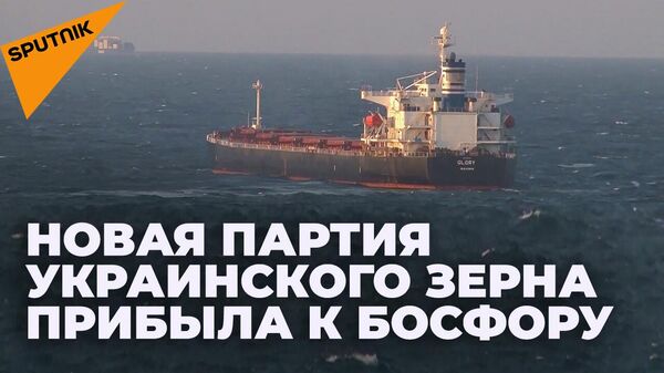 Грузовое судно Glory с украинским зерном - Sputnik Таджикистан