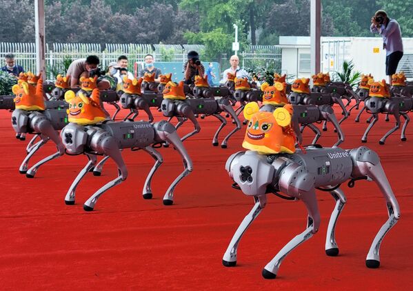 Роботы-собаки прекрасно выступили на китайской World Robot Conference. - Sputnik Таджикистан
