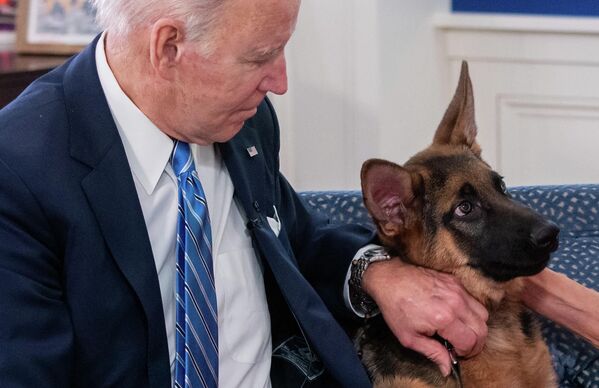 У президента США Джо Байдена тоже есть собака, которая живет в Белом доме. - Sputnik Таджикистан