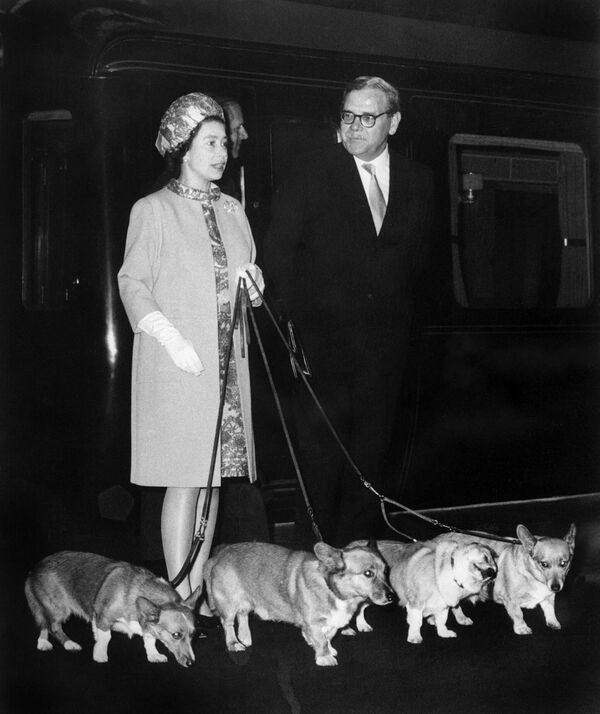 Королева Елизавета II прибывает на железнодорожный вокзал в Лондоне со своими четырьмя собаками корги после каникул. - Sputnik Таджикистан
