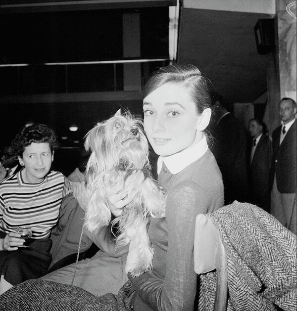 Американская актриса Одри Хепберн со своим йоркширским терьером. - Sputnik Таджикистан